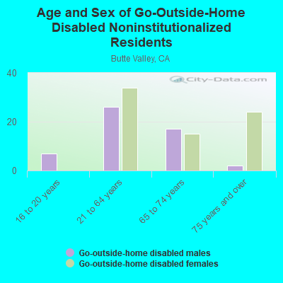 Age and Sex of Go-Outside-Home Disabled Noninstitutionalized Residents