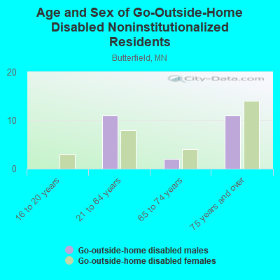 Age and Sex of Go-Outside-Home Disabled Noninstitutionalized Residents