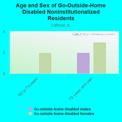 Age and Sex of Go-Outside-Home Disabled Noninstitutionalized Residents