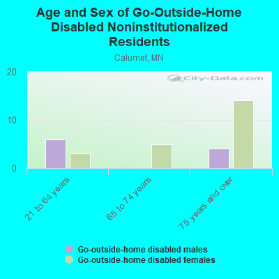 Age and Sex of Go-Outside-Home Disabled Noninstitutionalized Residents