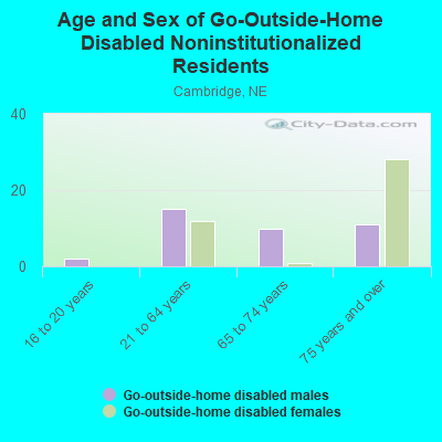 Age and Sex of Go-Outside-Home Disabled Noninstitutionalized Residents