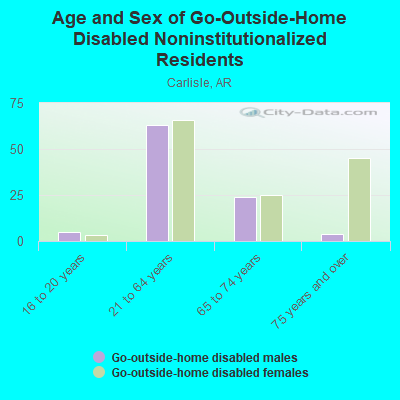 Age and Sex of Go-Outside-Home Disabled Noninstitutionalized Residents