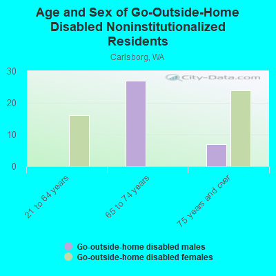 Age and Sex of Go-Outside-Home Disabled Noninstitutionalized Residents