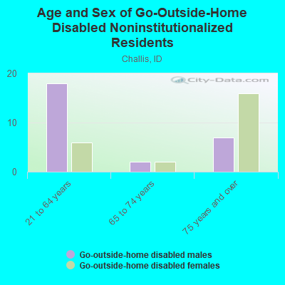 Age and Sex of Go-Outside-Home Disabled Noninstitutionalized Residents