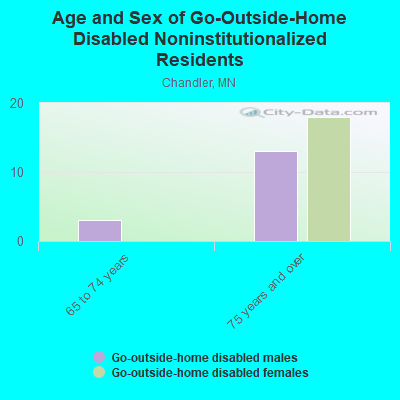 Age and Sex of Go-Outside-Home Disabled Noninstitutionalized Residents