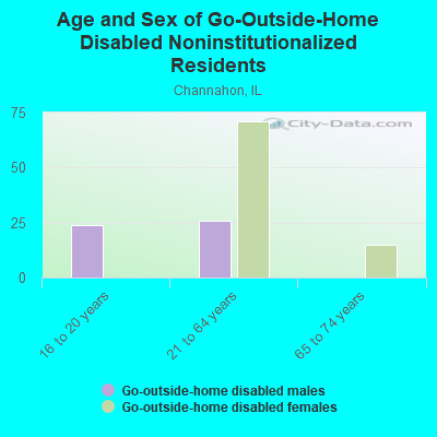 Age and Sex of Go-Outside-Home Disabled Noninstitutionalized Residents