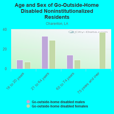 Age and Sex of Go-Outside-Home Disabled Noninstitutionalized Residents