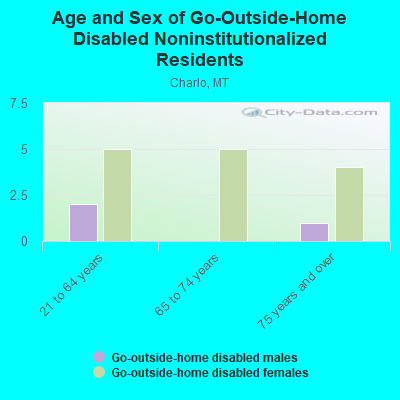 Age and Sex of Go-Outside-Home Disabled Noninstitutionalized Residents