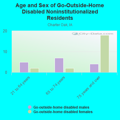 Age and Sex of Go-Outside-Home Disabled Noninstitutionalized Residents