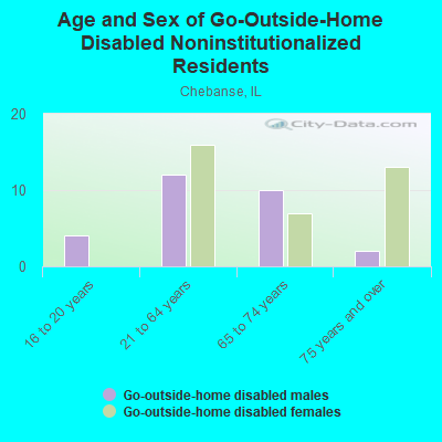 Age and Sex of Go-Outside-Home Disabled Noninstitutionalized Residents