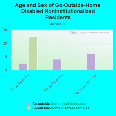 Age and Sex of Go-Outside-Home Disabled Noninstitutionalized Residents