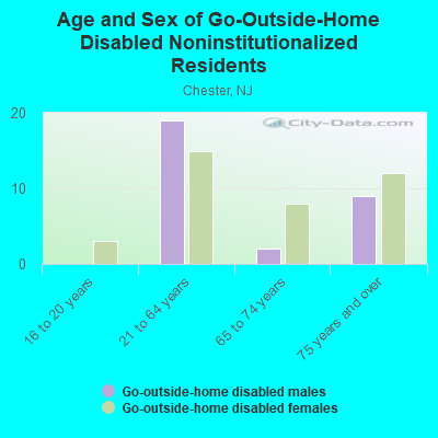 Age and Sex of Go-Outside-Home Disabled Noninstitutionalized Residents