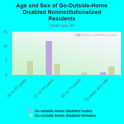 Age and Sex of Go-Outside-Home Disabled Noninstitutionalized Residents