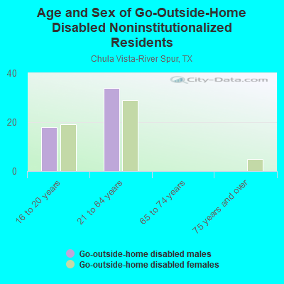 Age and Sex of Go-Outside-Home Disabled Noninstitutionalized Residents