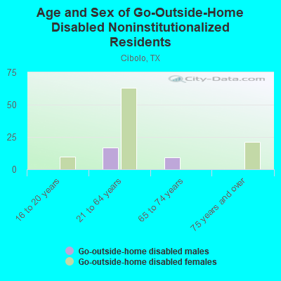 Age and Sex of Go-Outside-Home Disabled Noninstitutionalized Residents