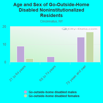 Age and Sex of Go-Outside-Home Disabled Noninstitutionalized Residents