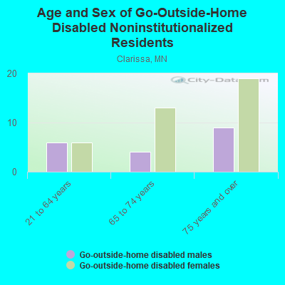 Age and Sex of Go-Outside-Home Disabled Noninstitutionalized Residents