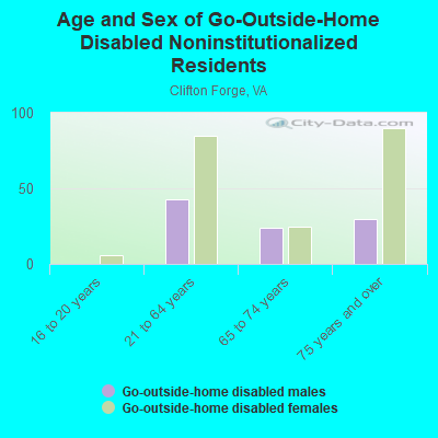 Age and Sex of Go-Outside-Home Disabled Noninstitutionalized Residents