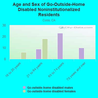 Age and Sex of Go-Outside-Home Disabled Noninstitutionalized Residents