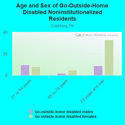 Age and Sex of Go-Outside-Home Disabled Noninstitutionalized Residents