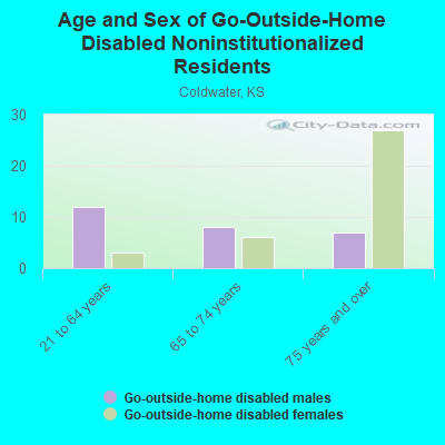 Age and Sex of Go-Outside-Home Disabled Noninstitutionalized Residents