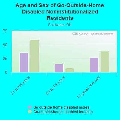 Age and Sex of Go-Outside-Home Disabled Noninstitutionalized Residents