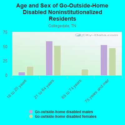 Age and Sex of Go-Outside-Home Disabled Noninstitutionalized Residents