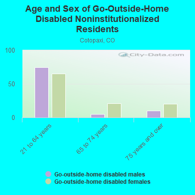 Age and Sex of Go-Outside-Home Disabled Noninstitutionalized Residents