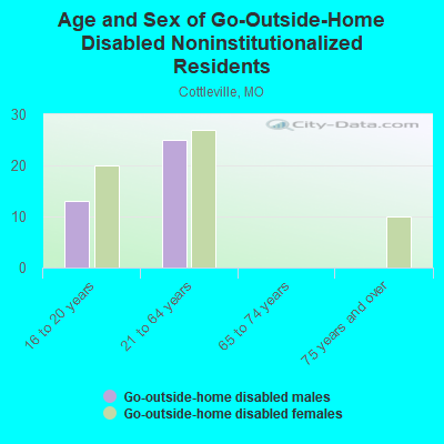 Age and Sex of Go-Outside-Home Disabled Noninstitutionalized Residents