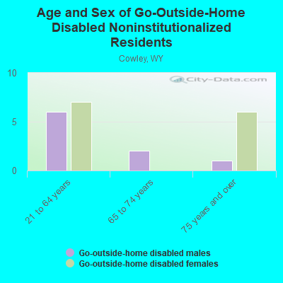 Age and Sex of Go-Outside-Home Disabled Noninstitutionalized Residents