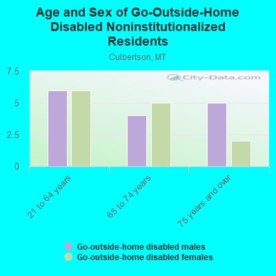 Age and Sex of Go-Outside-Home Disabled Noninstitutionalized Residents