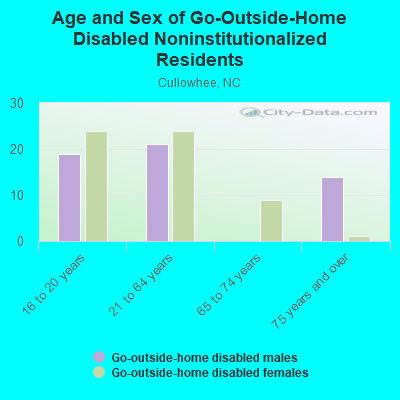 Age and Sex of Go-Outside-Home Disabled Noninstitutionalized Residents