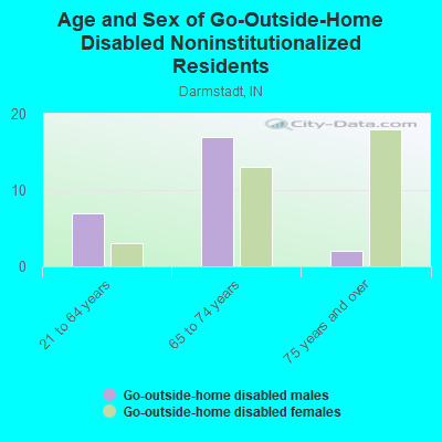 Age and Sex of Go-Outside-Home Disabled Noninstitutionalized Residents