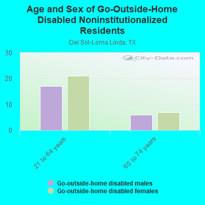 Age and Sex of Go-Outside-Home Disabled Noninstitutionalized Residents