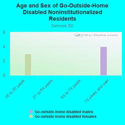 Age and Sex of Go-Outside-Home Disabled Noninstitutionalized Residents