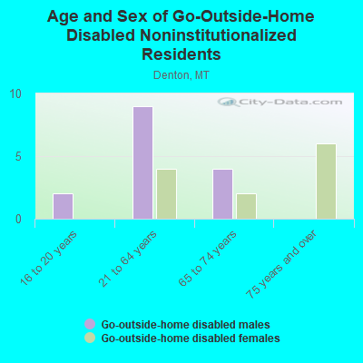 Age and Sex of Go-Outside-Home Disabled Noninstitutionalized Residents