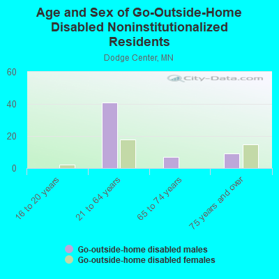 Age and Sex of Go-Outside-Home Disabled Noninstitutionalized Residents