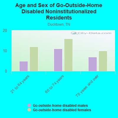 Age and Sex of Go-Outside-Home Disabled Noninstitutionalized Residents