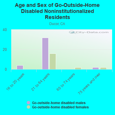 Age and Sex of Go-Outside-Home Disabled Noninstitutionalized Residents