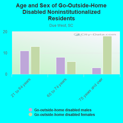 Age and Sex of Go-Outside-Home Disabled Noninstitutionalized Residents