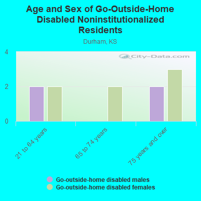 Age and Sex of Go-Outside-Home Disabled Noninstitutionalized Residents