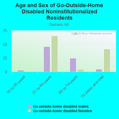 Age and Sex of Go-Outside-Home Disabled Noninstitutionalized Residents