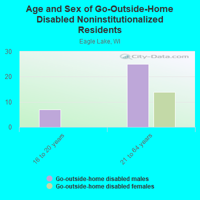 Age and Sex of Go-Outside-Home Disabled Noninstitutionalized Residents