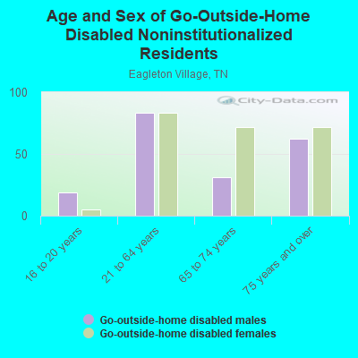 Age and Sex of Go-Outside-Home Disabled Noninstitutionalized Residents