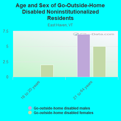 Age and Sex of Go-Outside-Home Disabled Noninstitutionalized Residents