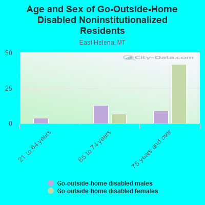 Age and Sex of Go-Outside-Home Disabled Noninstitutionalized Residents