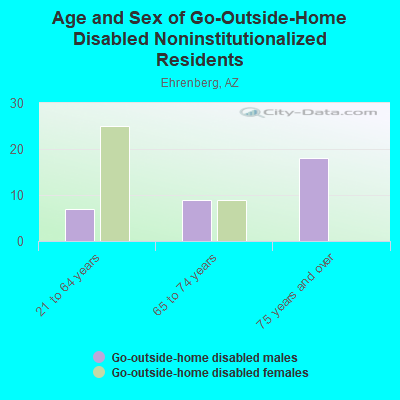 Age and Sex of Go-Outside-Home Disabled Noninstitutionalized Residents