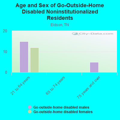 Age and Sex of Go-Outside-Home Disabled Noninstitutionalized Residents