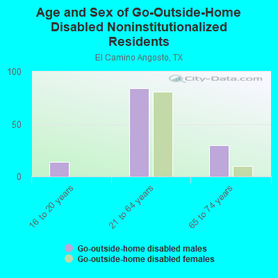 Age and Sex of Go-Outside-Home Disabled Noninstitutionalized Residents