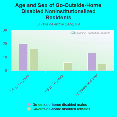 Age and Sex of Go-Outside-Home Disabled Noninstitutionalized Residents